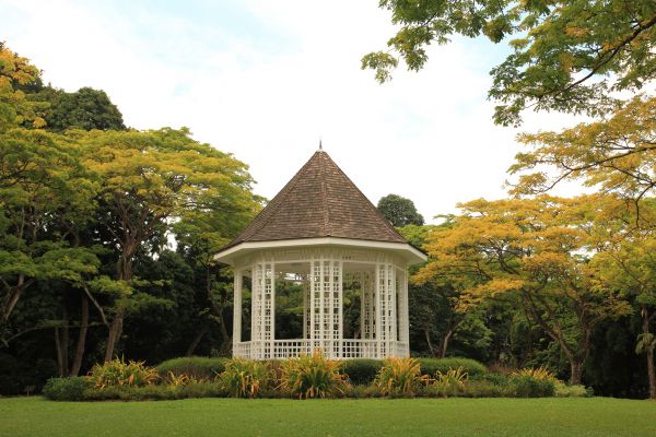 Pavilion Building Service
